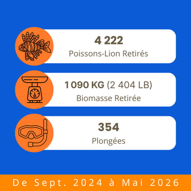 Statistiques de terrain TTT sur les prélèvements de poissons-lions, la biomasse et les plongées