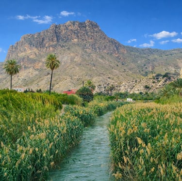 The Segura River as it passes through the Ricote Valley