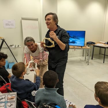 alain surina shark education club école primaire