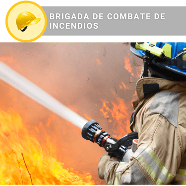 Curso de Brigadas Contra Incendio con constancia DC-3 STPS - Solicita información en WhatsApp