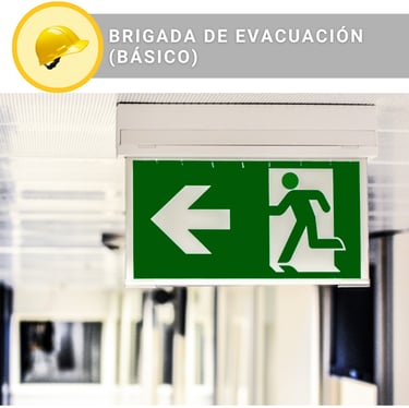 Curso de brigada de evacuación con constancia DC-3 STPS - Solicita información en WhatsApp