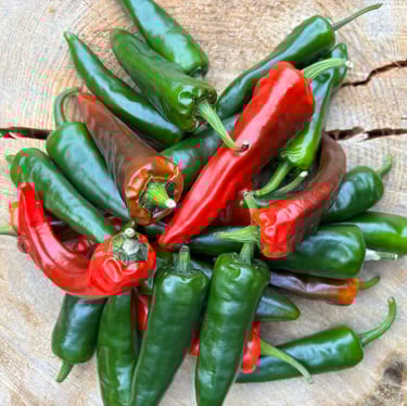 JALAPENO CHILLIES | Medium heat pepper 
