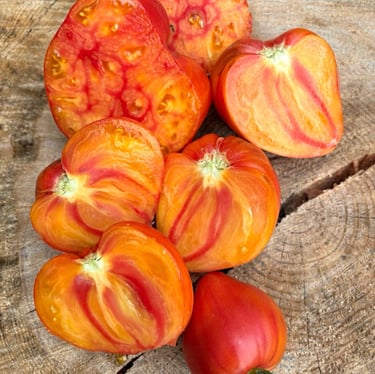 Pineapple Rosy SGT Tomato 