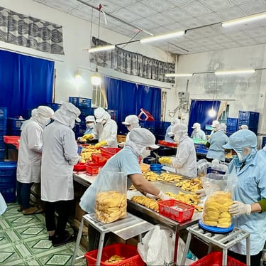 packaging and transporting dried products