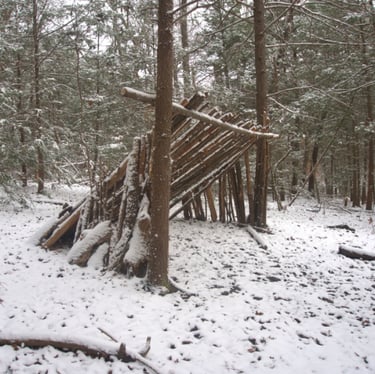 Lean-to shelter in snowy pine forest, winter bushcraft structure and cold survival