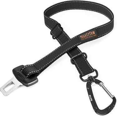 tips for dog travel dog transportation