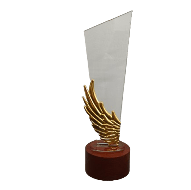 a trophy trophy with a gold trophy award