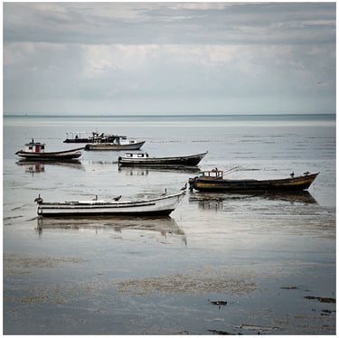 One Color: a group of boats on the beach