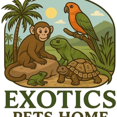 www.absoluteexoticpets.co.za favicon