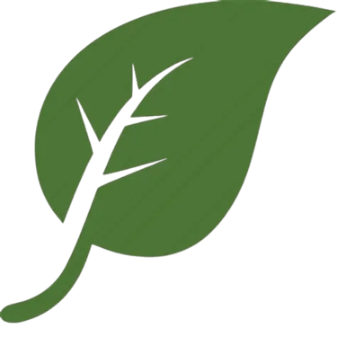 getpuriva.today favicon