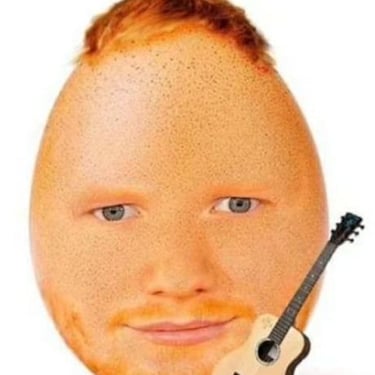 eggsheeran.fun favicon