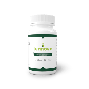 leanova-official.online favicon