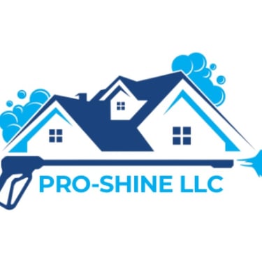 pro-shinellc.com favicon