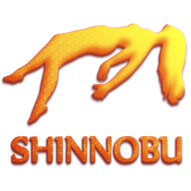 shinnobu.com favicon