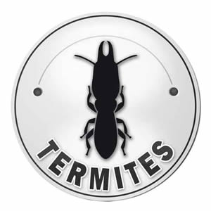 Diagnostic Termites – état relatif à la présence de termites dans un logement