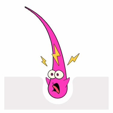 zappity doo dah