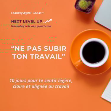 e-caoching Ne plus subir son travail par Nelly Sébastien Coaching