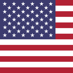 the flag of the united states of america