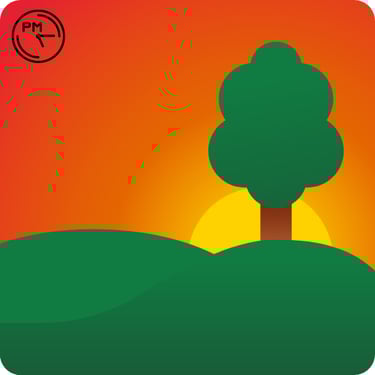 a picture illustrating late afternoon with a tree and a sunset