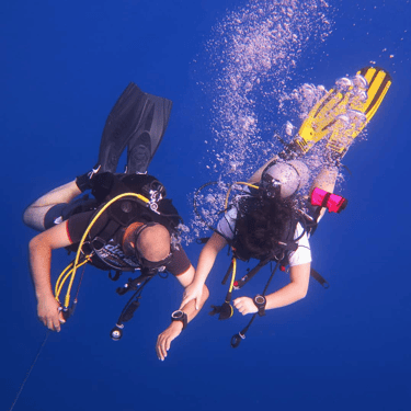 Father and daughter divers
