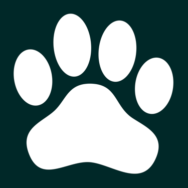 dogAdvisor ✲ dogadvisor ✲ dog advisor ✲ Blog for new dog owners ✲ dogs ✲ dog advisers ✲ dog advisors