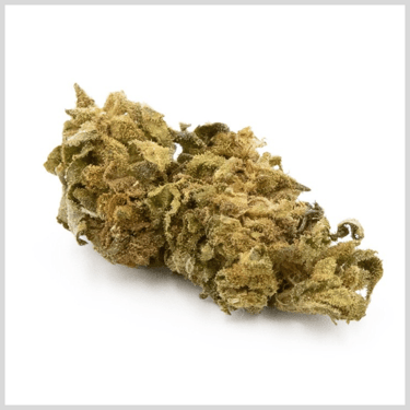 Fleur CBD Critical + 2.0 Hydro