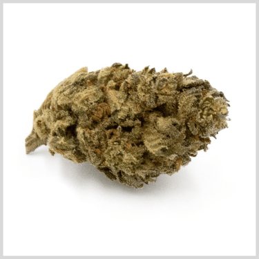 Fleur CBD Don Papa Greenhouse