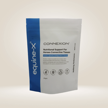 a pouch of connexion horse supplement for tendons