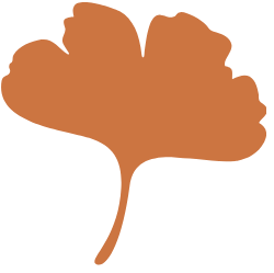 an orange ginko leaf