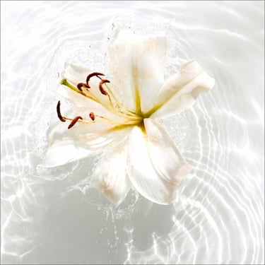 terapias de regresiones en ibiza