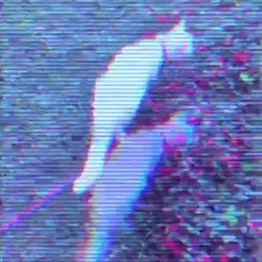 init (single) by Garajes