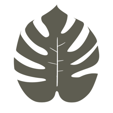 Monstera leaf