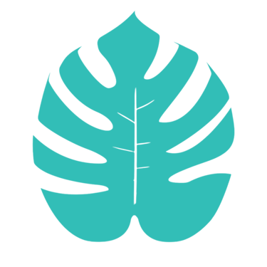 Monstera leaf