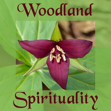 Woodland Spirituality logo, including a closeup of a red trillium flower with green leaves.
