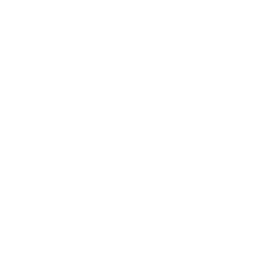 Service Selection