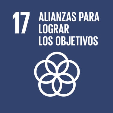 ODS 17