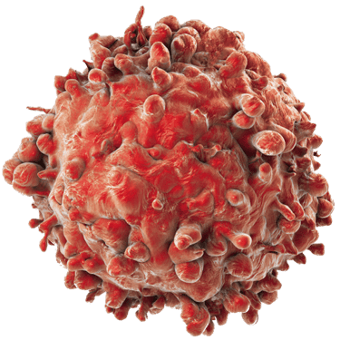 a red blood cell phone showing a close up of a red blood cell phone