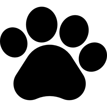 Categoria Pet