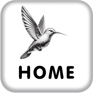 Ir para a página inicial do AISP Portal Shopping