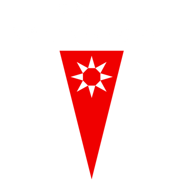 a flag with a star on it and a flag