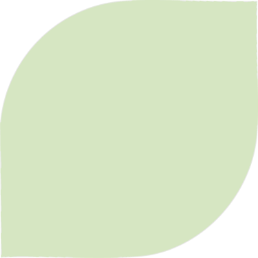 a green leafy plant with a leafy green background