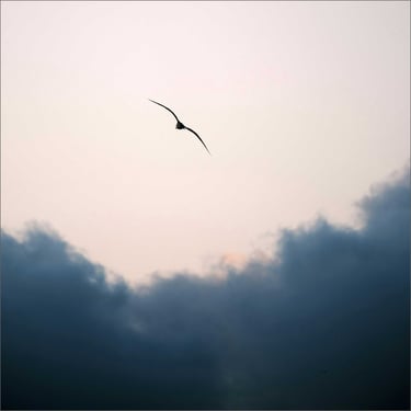 terapias de rebirthing y regresiones en ibiza