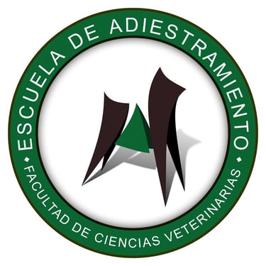 Pablo Cappa Adiestrador Canino FCVet UBA