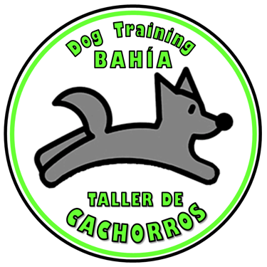 taller de cachorros certificados por un profesional