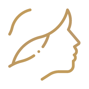 illustration of a female head