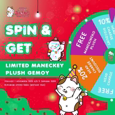 a poster for a spinner with a cat