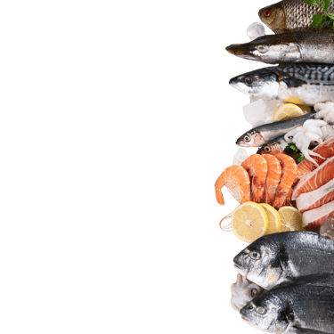 BDP+Partners, consulting, marketing, f&b, hospitality, Tokyo, Japan, Vietnam