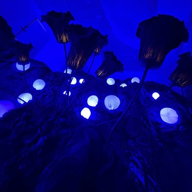 L'odyssée de Léa @16mag