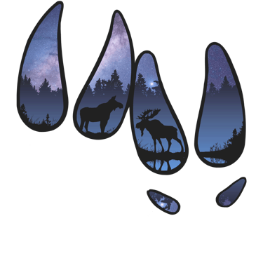 a moose and a moose in the woods