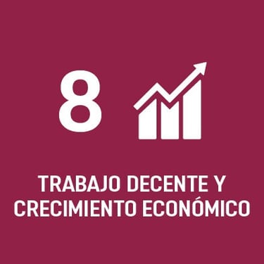 ODS 8
